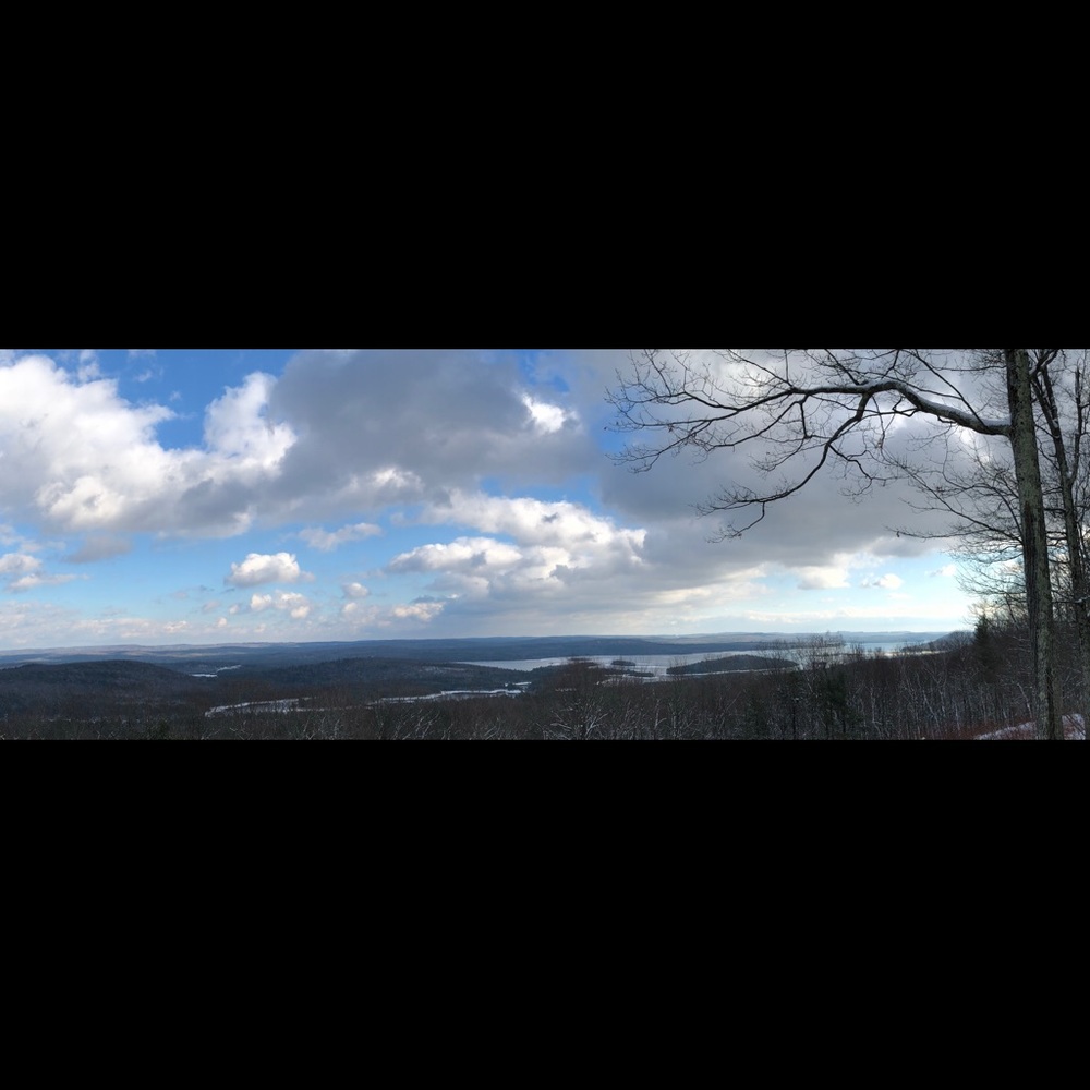 Meet your Posher, Carolyn